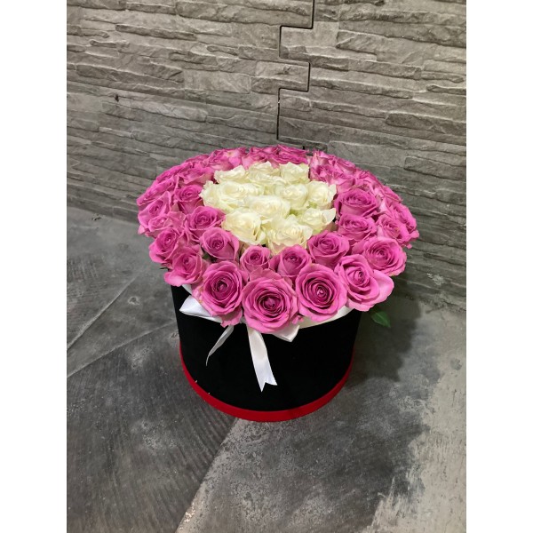 Vip 46